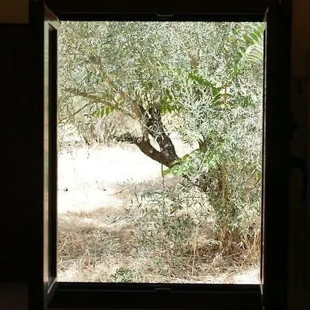 La Perla Blanca - Maison d'hôtes 3*