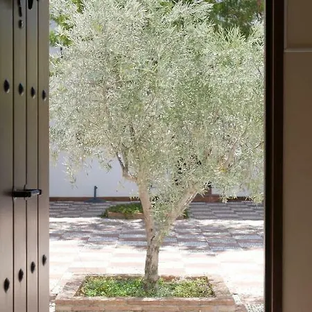 Maison d'hôtes La Perla Blanca - Ronda